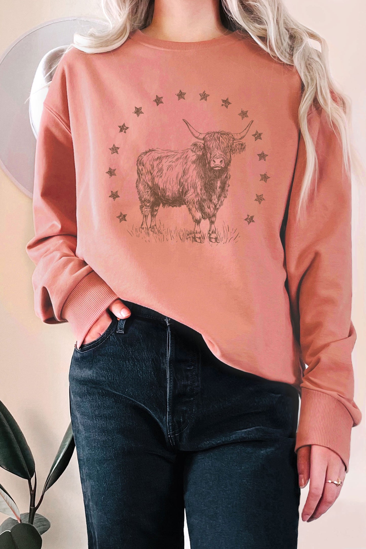Highland Cow Graphic Terry Sweatshirts