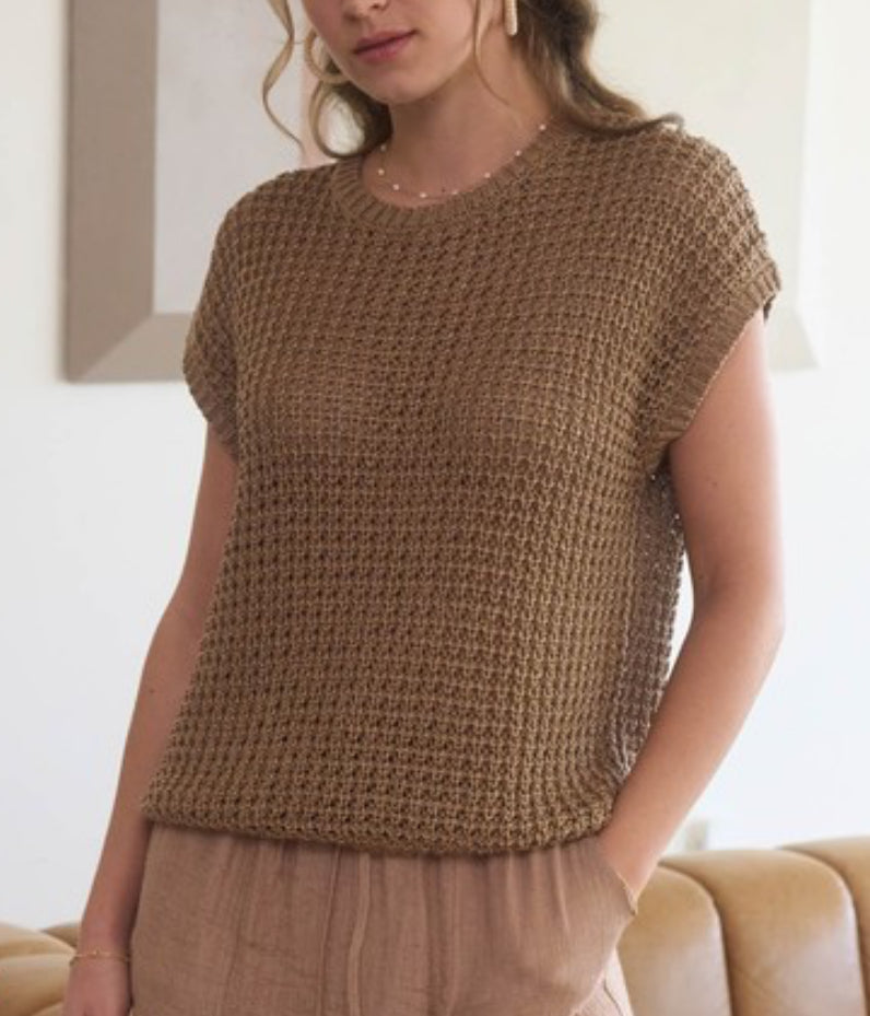 Mocha Crochet Knit Batwing Short Sleeve Top